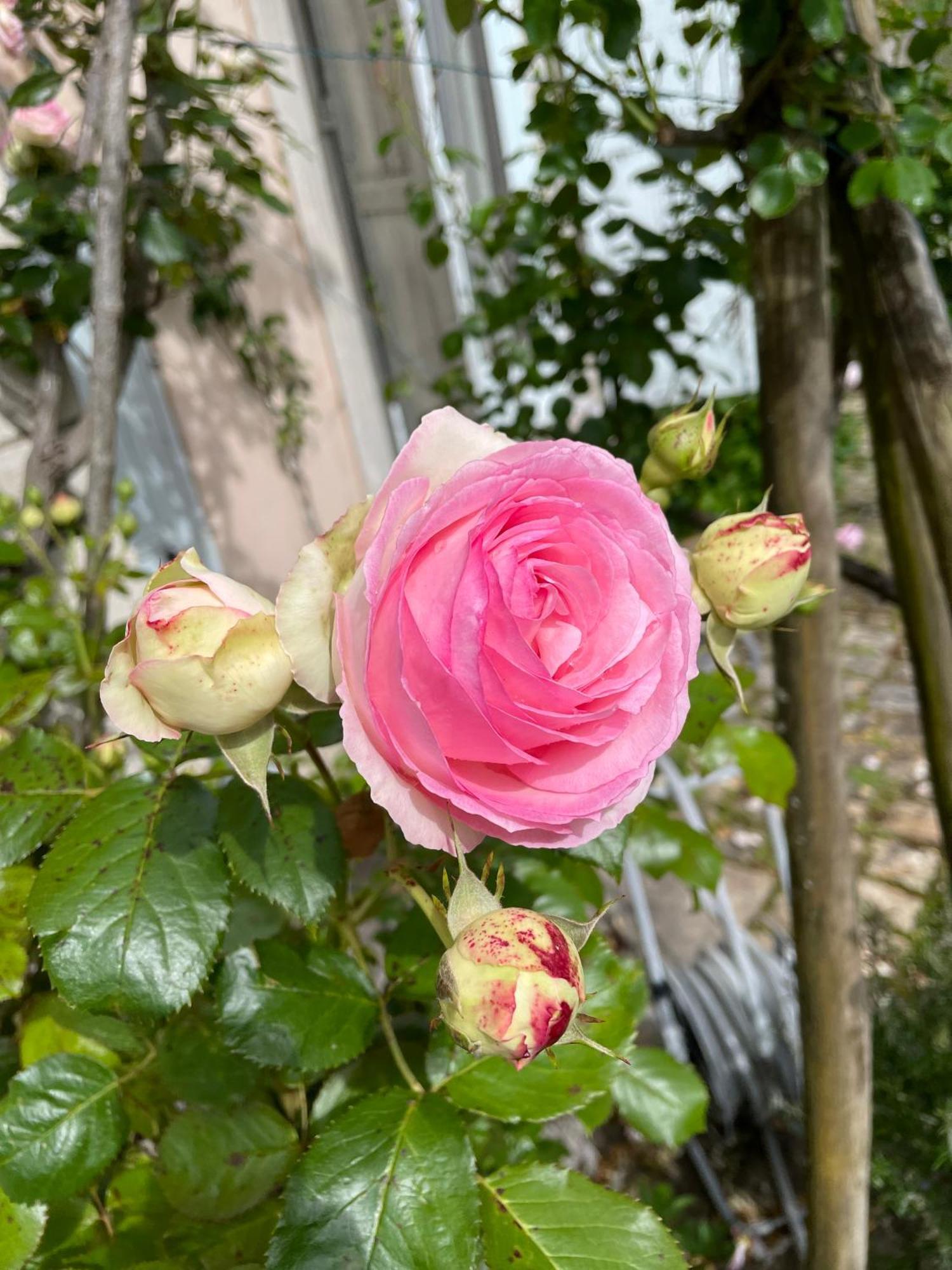Belle Fontaine Hotel บัวร์ ภายนอก รูปภาพ